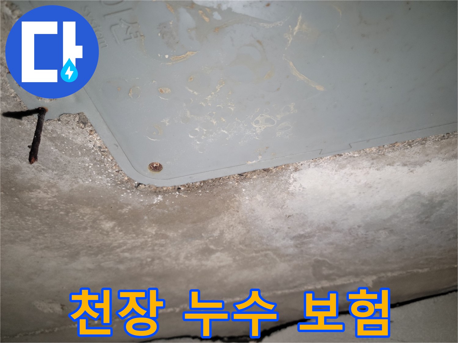 동두천 누수 - 천장 누수 보험 처리 상담 - 복잡한 절차 대행