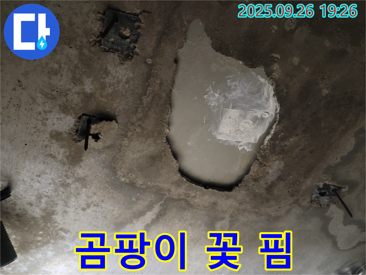동두천 동두천동 누수 현장 - 콘크리트 천장에 곰팡이 꽃 핌 - 건강 위협