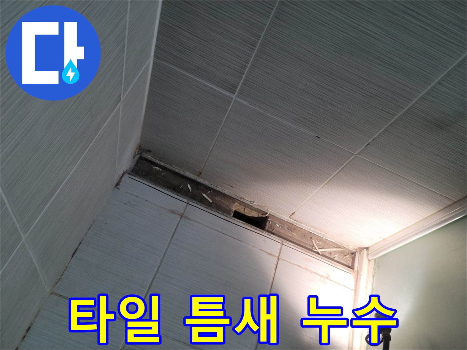 동두천 동두천동 타일 틈새 누수 진단 - 꼼꼼 점검