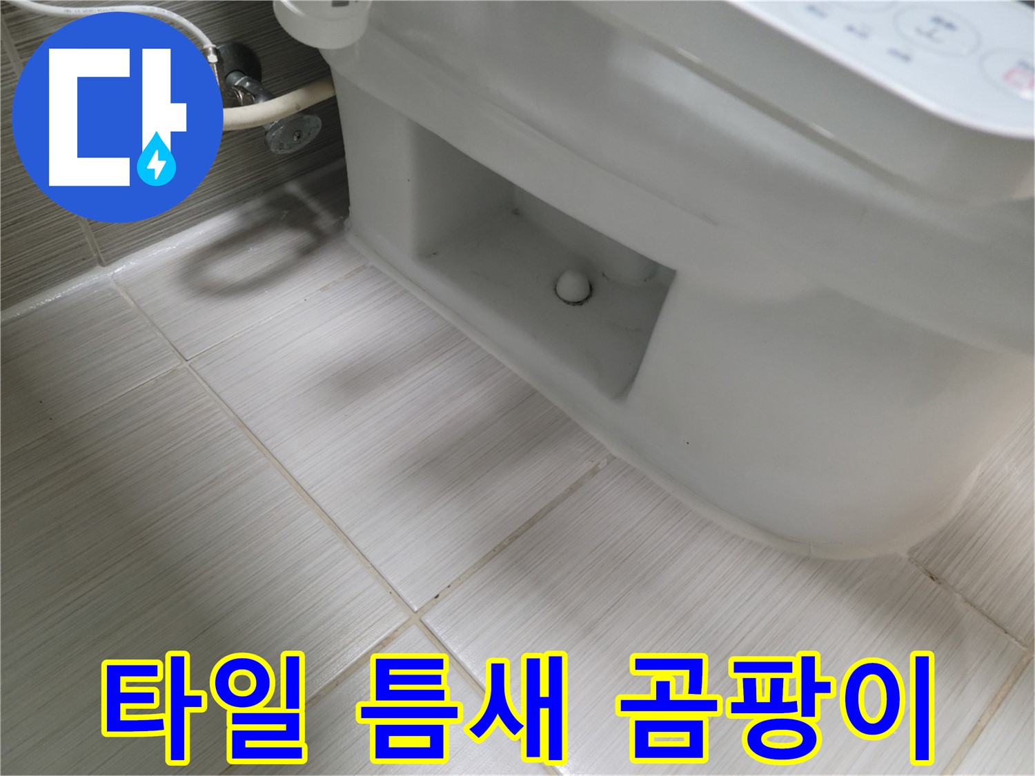 동두천 변기 누수 - 타일 틈새 곰팡이 초기 의심 - 주의 요망
