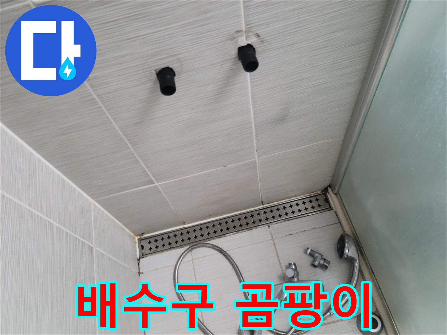 동두천 신창동 - 샤워기 주변 배수구 트랩의 곰팡이와 물때 - 곰팡이와 물때로 뒤덮인 배수구!