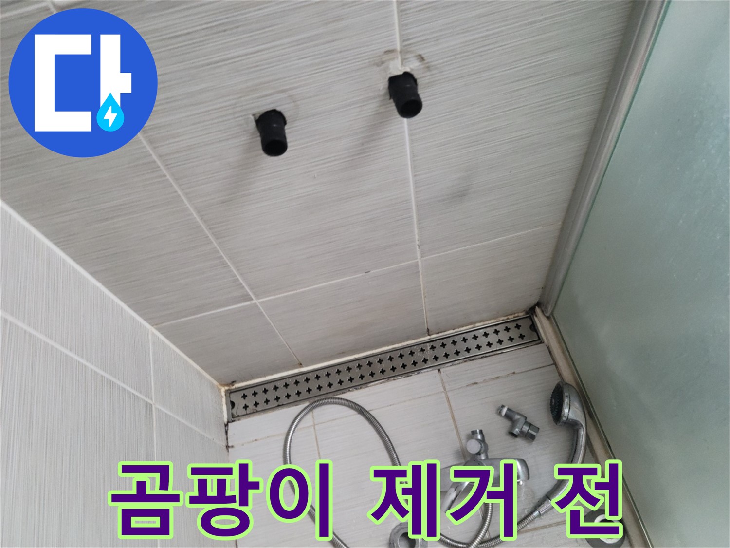 동두천 신창동 - 샤워기 철거 후 천장 타일 틈새의 곰팡이 - 곰팡이 제거 작업 시작 전!