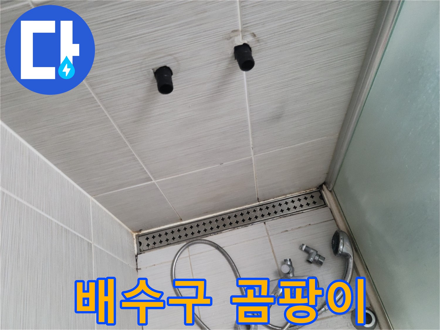 동두천 신창비바 - 샤워기 주변 배수구 트랩의 곰팡이 - 습기 가득한 곳엔 어김없이 곰팡이