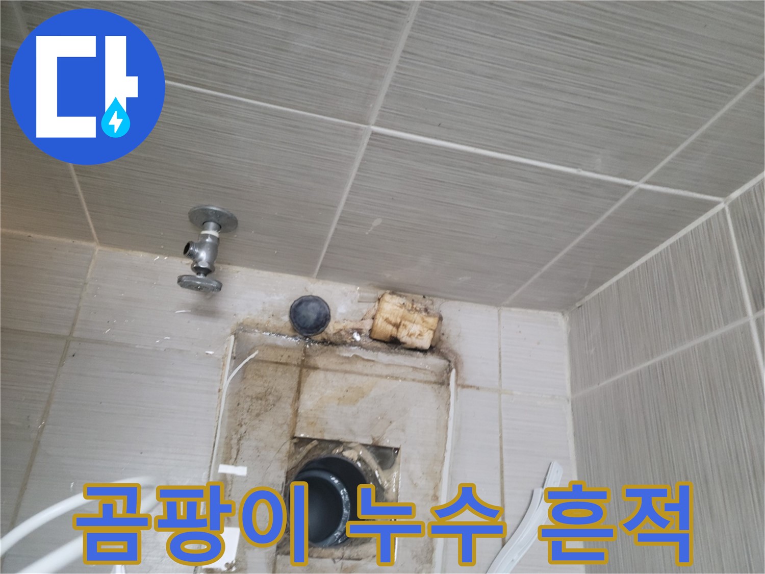 동두천 신창비바패밀리-2단지 배수관 주변 곰팡이와 누수 흔적