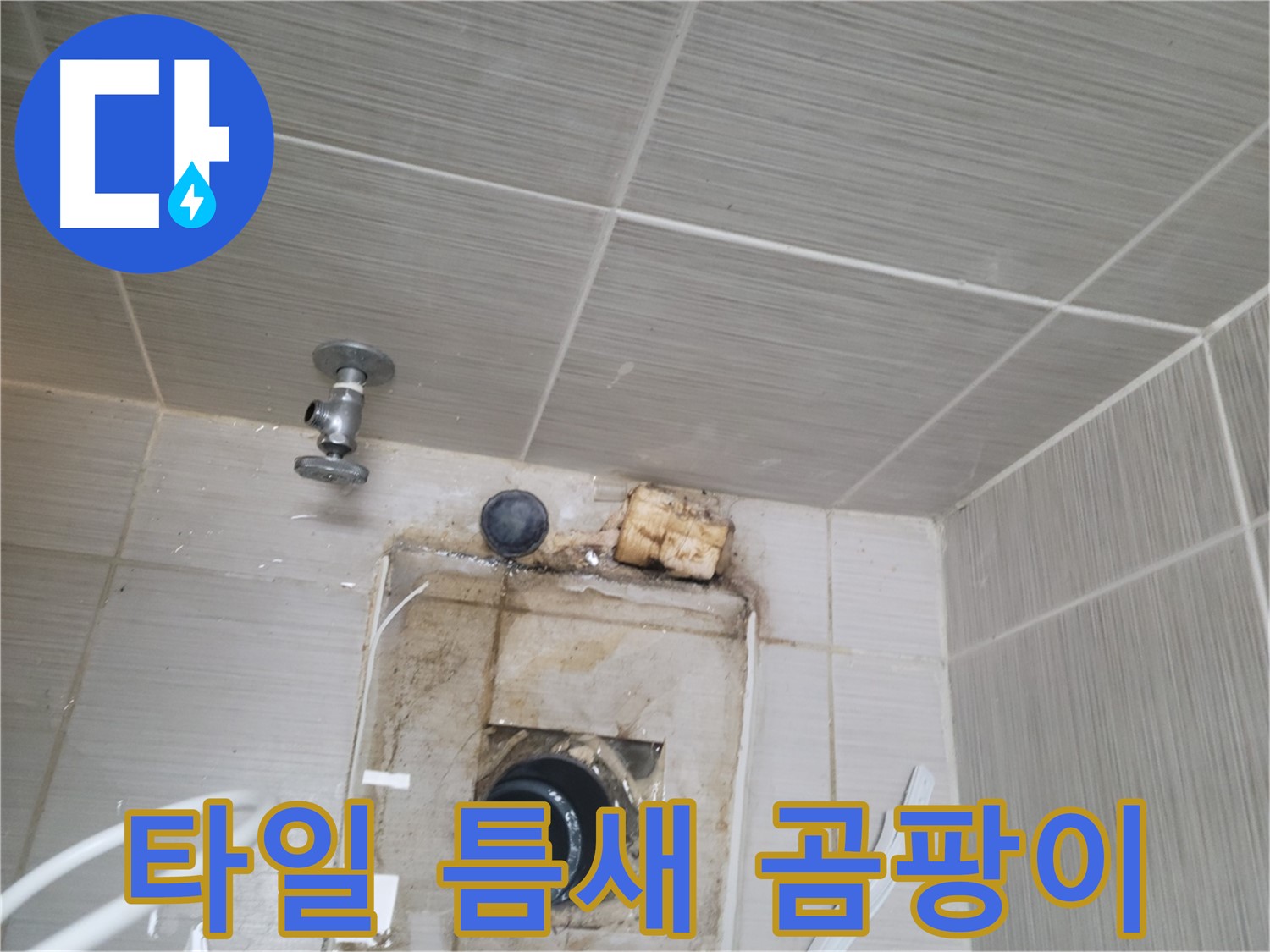 동두천 신창비바패밀리-2단지 벽 타일 틈새 누수로 인한 곰팡이 발생