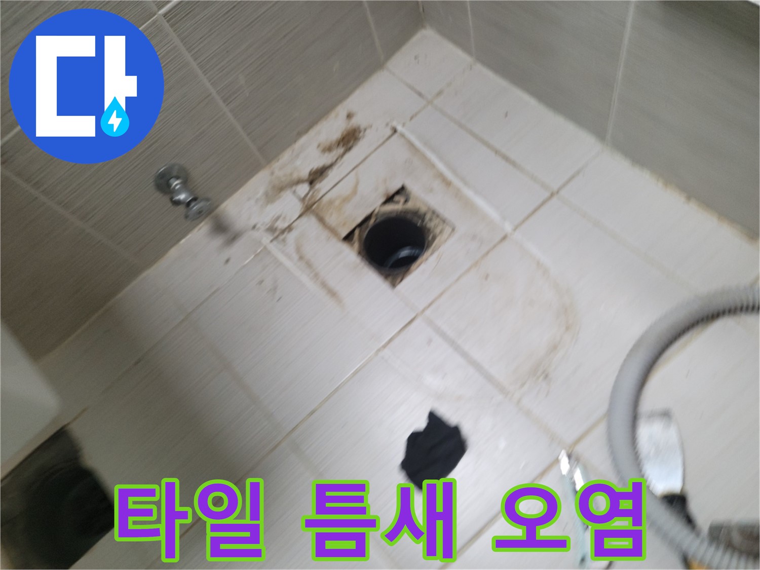 동두천시 이담동 - 욕실 하수구 주변 타일 틈새 오염 - 누수 의심