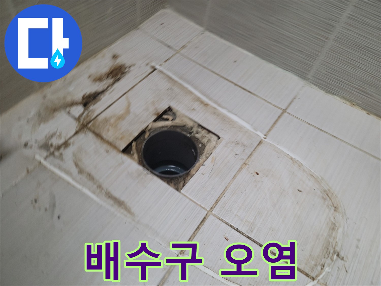 문제의 배수구 - 오염 상태 재점검