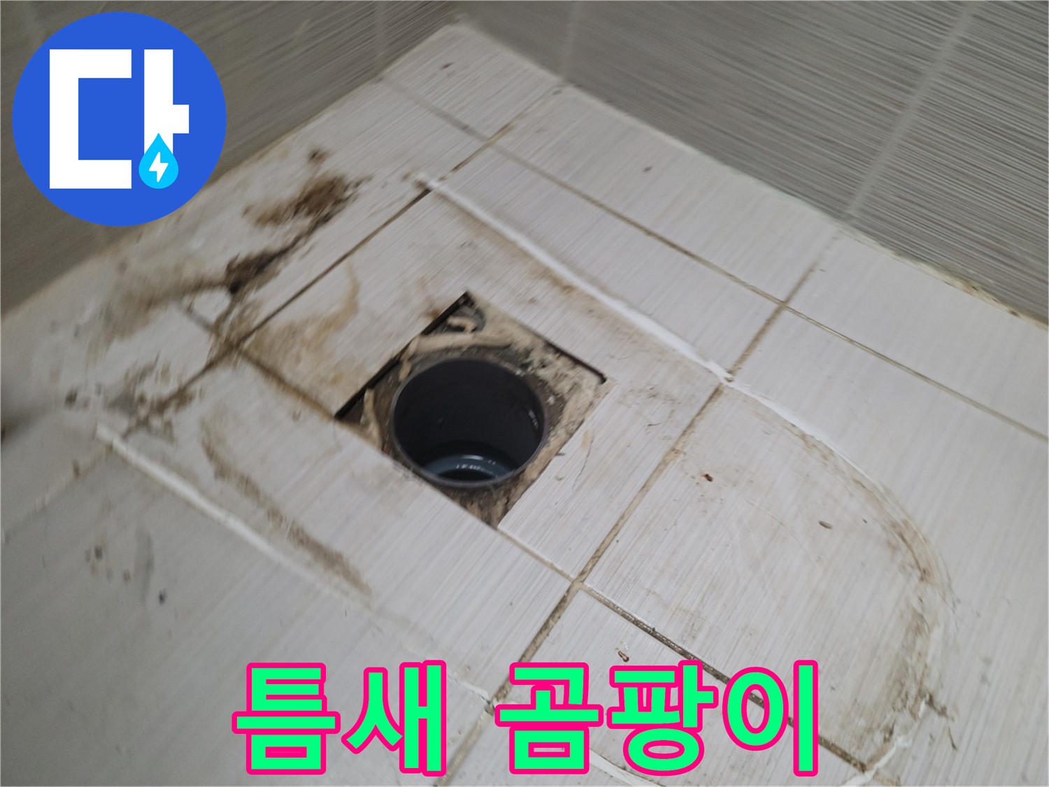 배수구 주변 - 타일 틈새 곰팡이 집중 분석