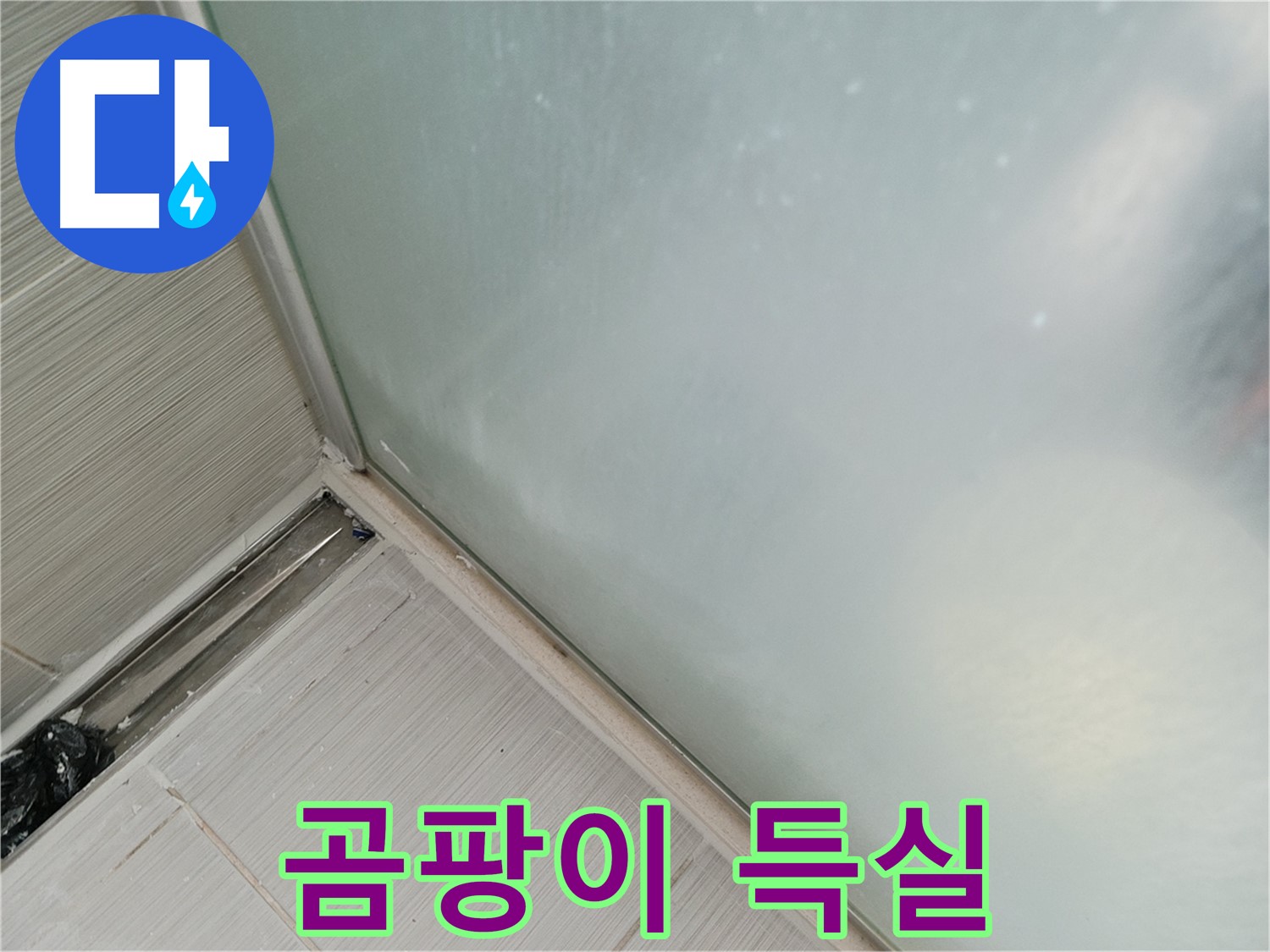 샤워부스 누수 - 곰팡이 득실 - 위생 문제