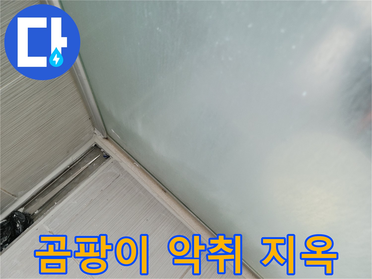 샤워부스 누수 - 곰팡이 - 악취 - 지옥