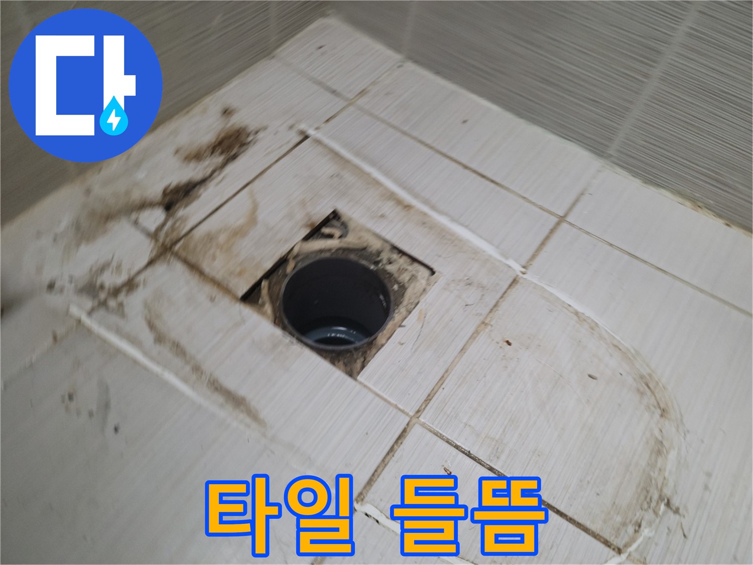 욕실 배수구 주변 - 타일 들뜸 현상 재점검
