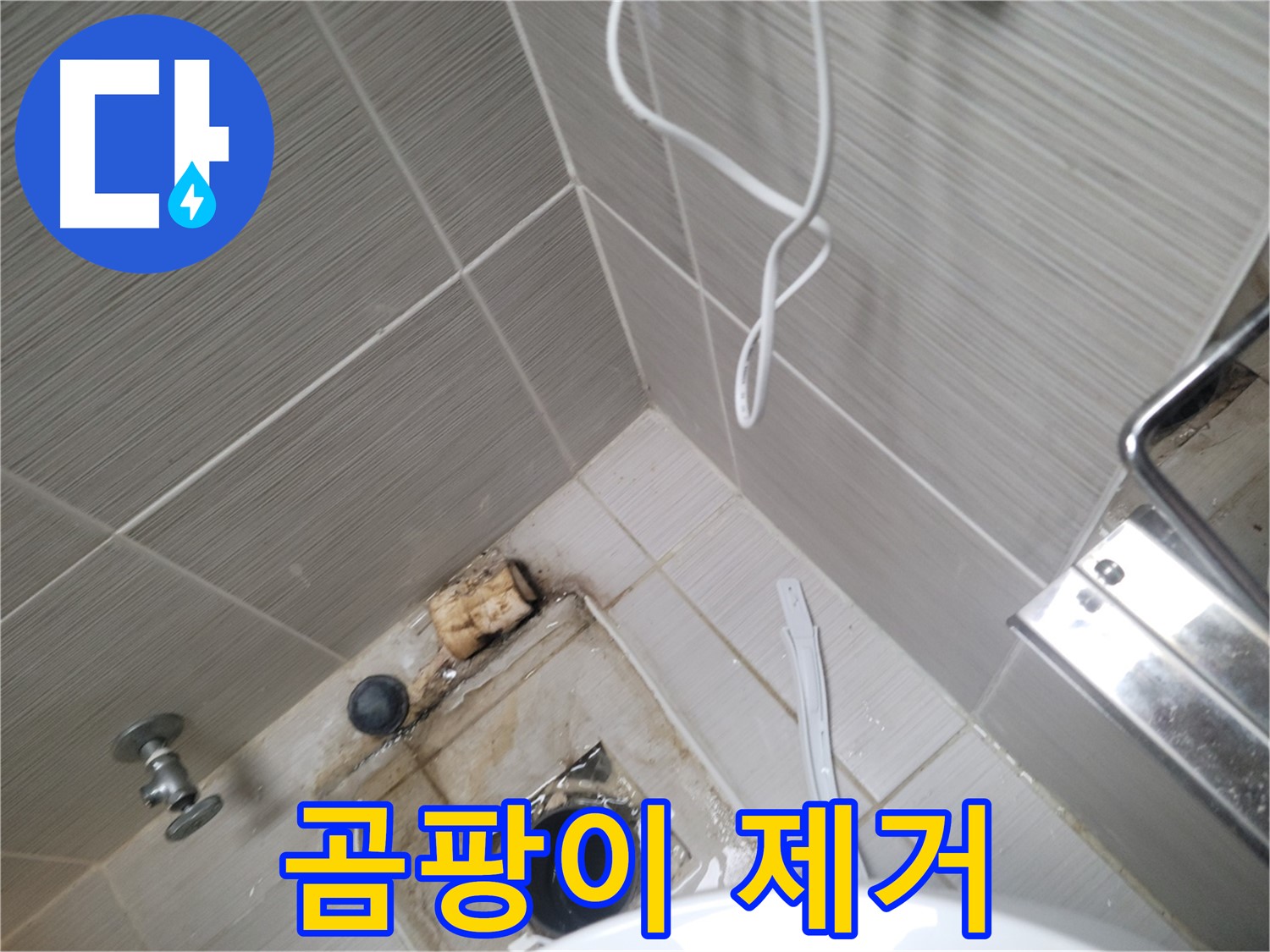 욕실 하수구 주변 - 곰팡이 제거 작업