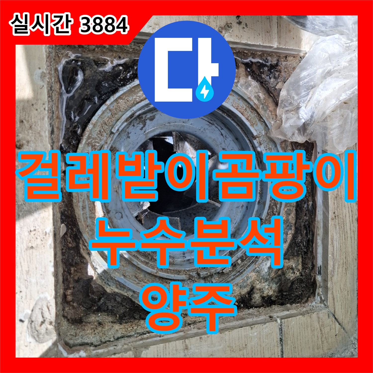 양주 누수전화, 걸레받이 곰팡이와 부식! 누수 원인 철저 분석