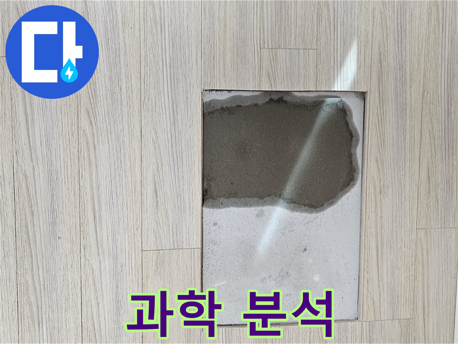 도봉구 도봉동 현대시티 마루 곰팡이 - 과학적인 분석