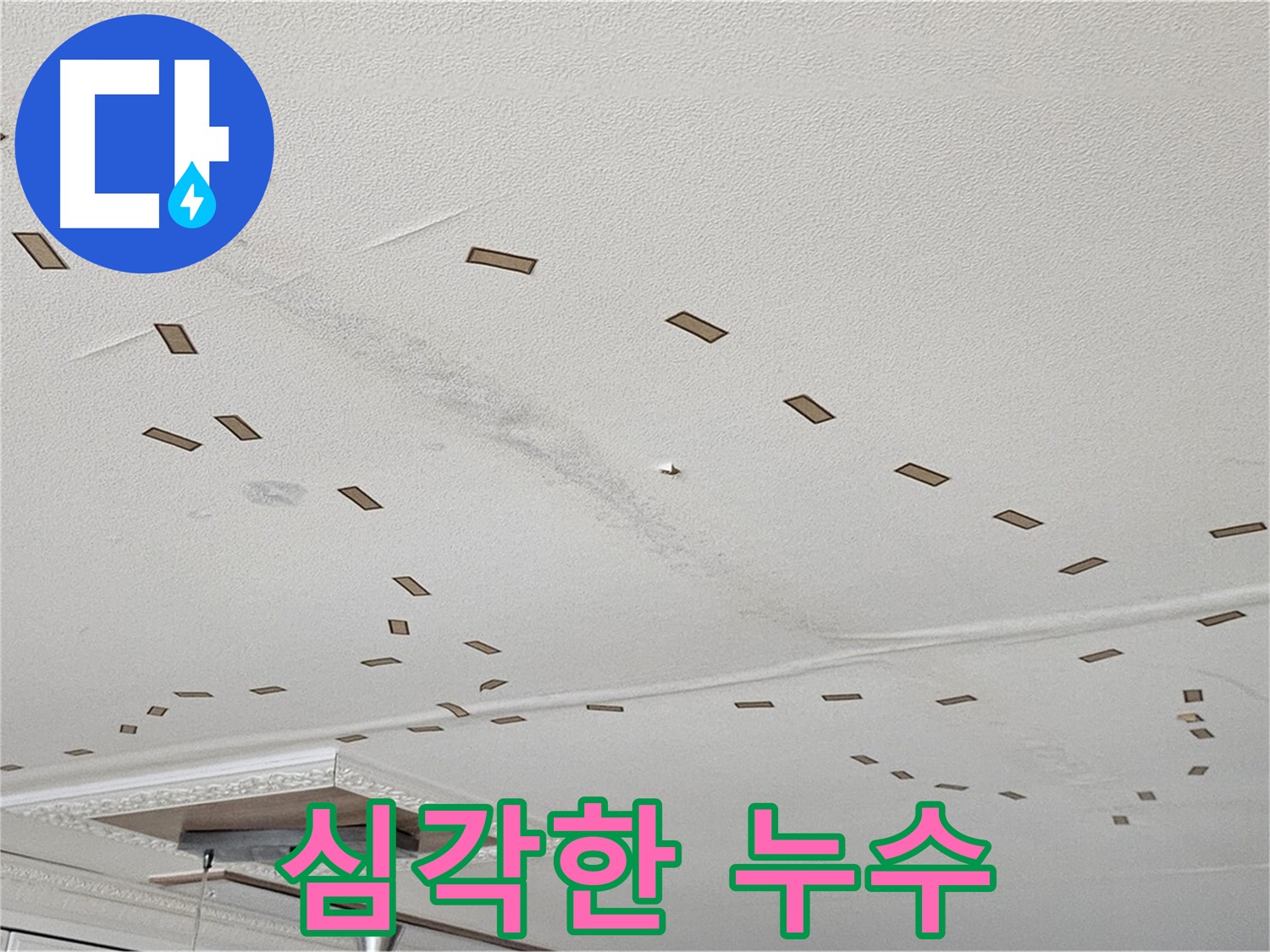 도봉구 현대시티 아파트 심각한 누수 - 천장에서 심하게 물이 떨어지는 누수 상황을 보여줍니다.