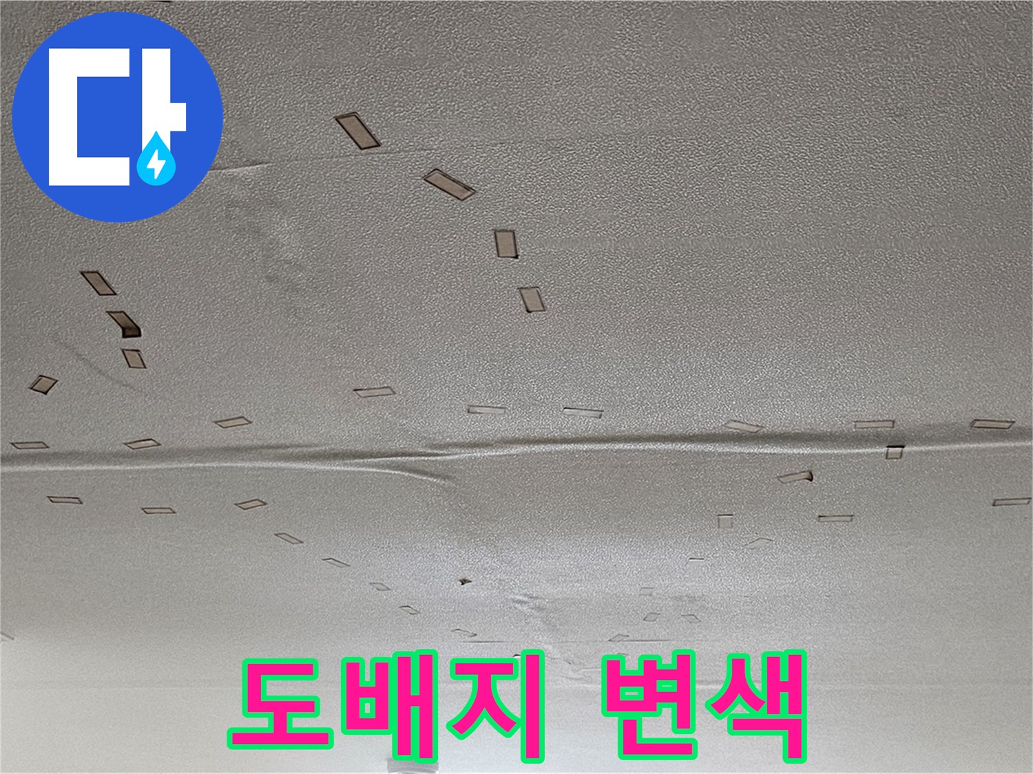 현대시티 아파트 - 천장 도배지 변색 - 긴급 누수 진단 및 도배 시공
