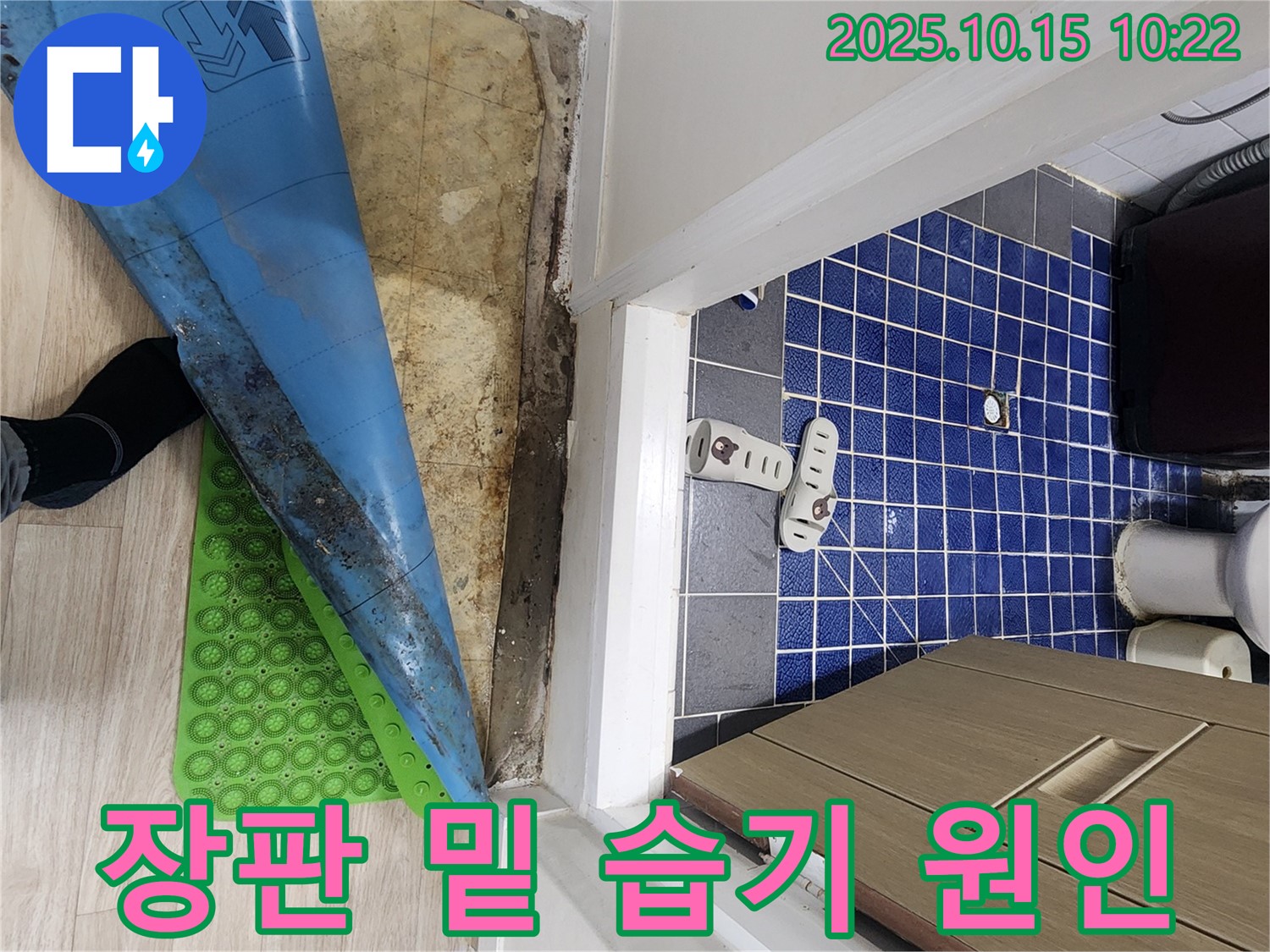 공릉동 누수 - 장판 밑 습기, 화장실 방수 문제 가능성 점검