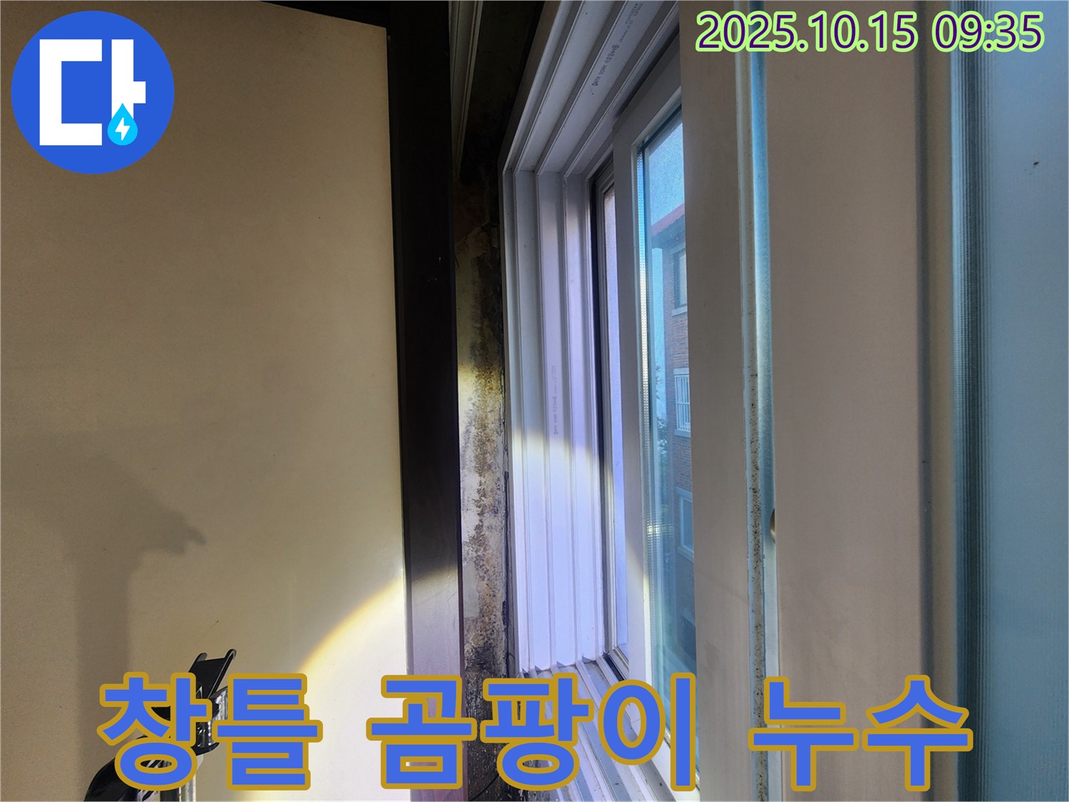 노원구 공릉동 빌라 창틀 주변 곰팡이와 누수 흔적 - 습기로 인한 곰팡이 발생과 누수 문제를 확인했습니다.