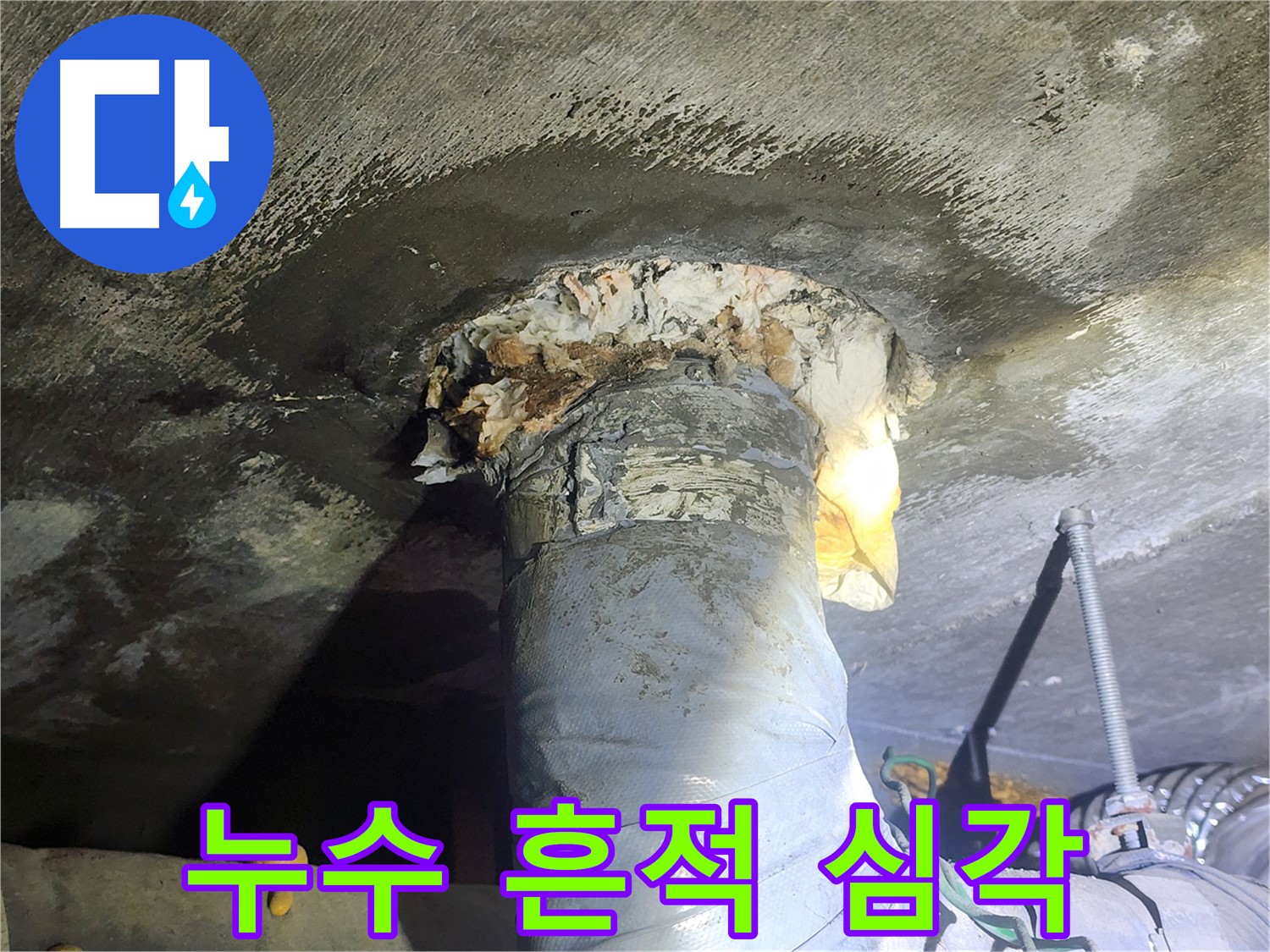 당산 래미안 아파트 누수 현장 - 바닥에 고여있는 물과 심각한 누수 흔적