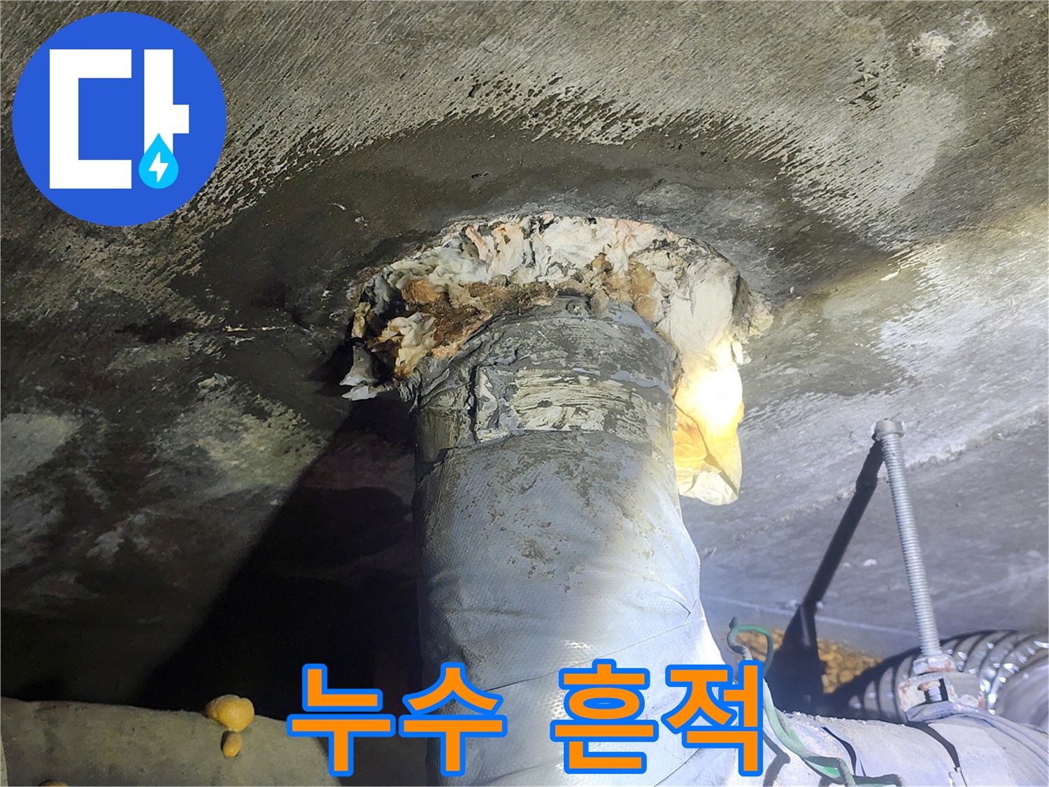 당산 래미안 아파트 누수 현장 - 젖어있는 바닥과 누수 흔적