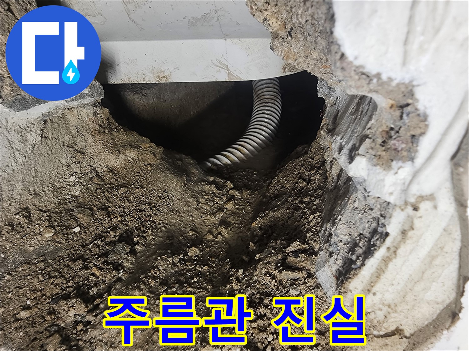 당산동 래미안1차 아파트 - 꼬불꼬불 주름관, 누수의 진실은?
