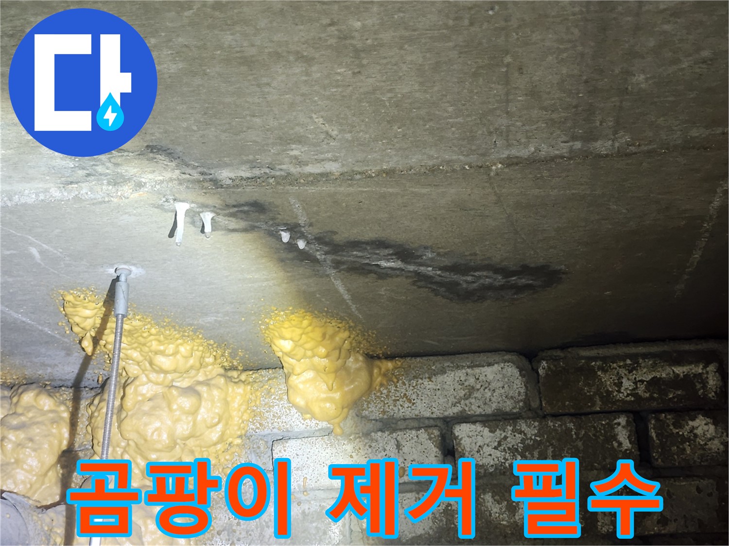 당산동 아파트 누수 - 폼 손상 부위 곰팡이 제거 후 곰팡이 방지 시공 및 정기적인 환기 중요