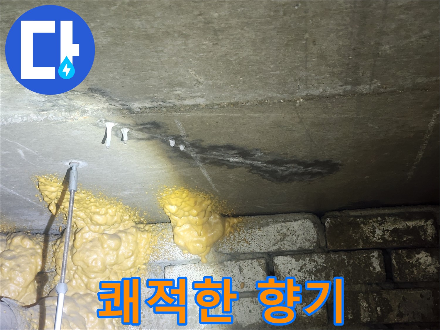 래미안당산1차 누수 - 폼 악취 문제 해결 전문 업체의 맞춤형 해결책 및 쾌적한 향기