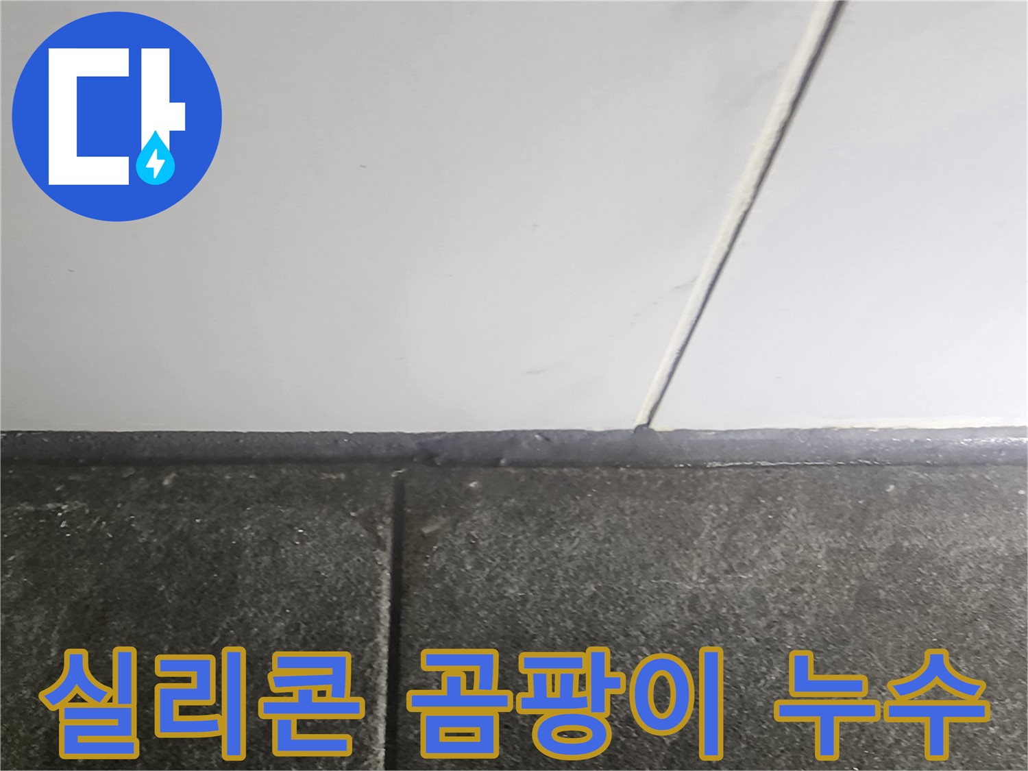 영등포 당산동 래미안1차 누수 - 욕실 실리콘 곰팡이 누수 보수 현장