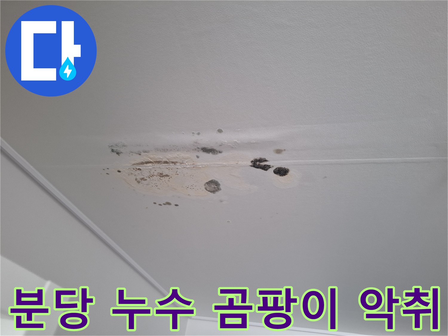 누수 곰팡이 악취 - 삼박자 콤보, 쾌적함 파괴자
