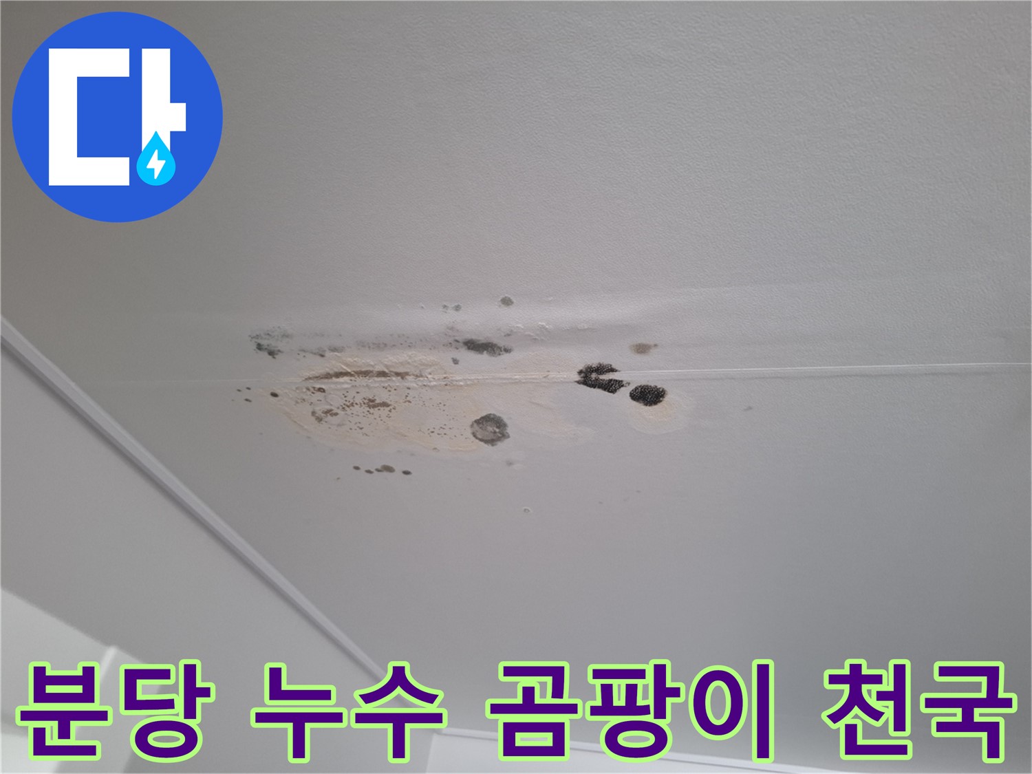 누수 방치 - 곰팡이 천국, 실내 공기 오염 심각