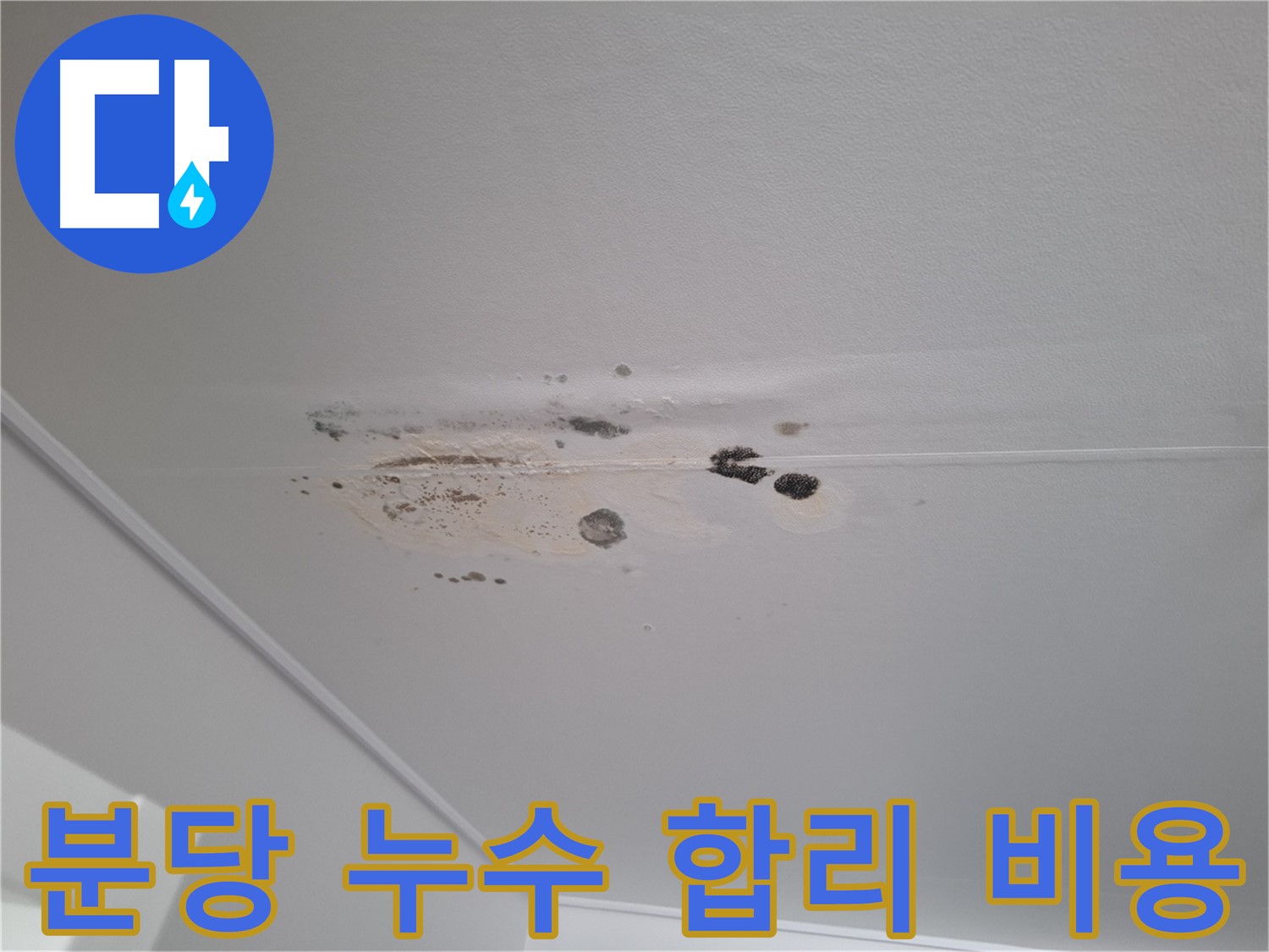 누수 해결 - 꼼꼼한 점검, 합리적인 비용으로 해결