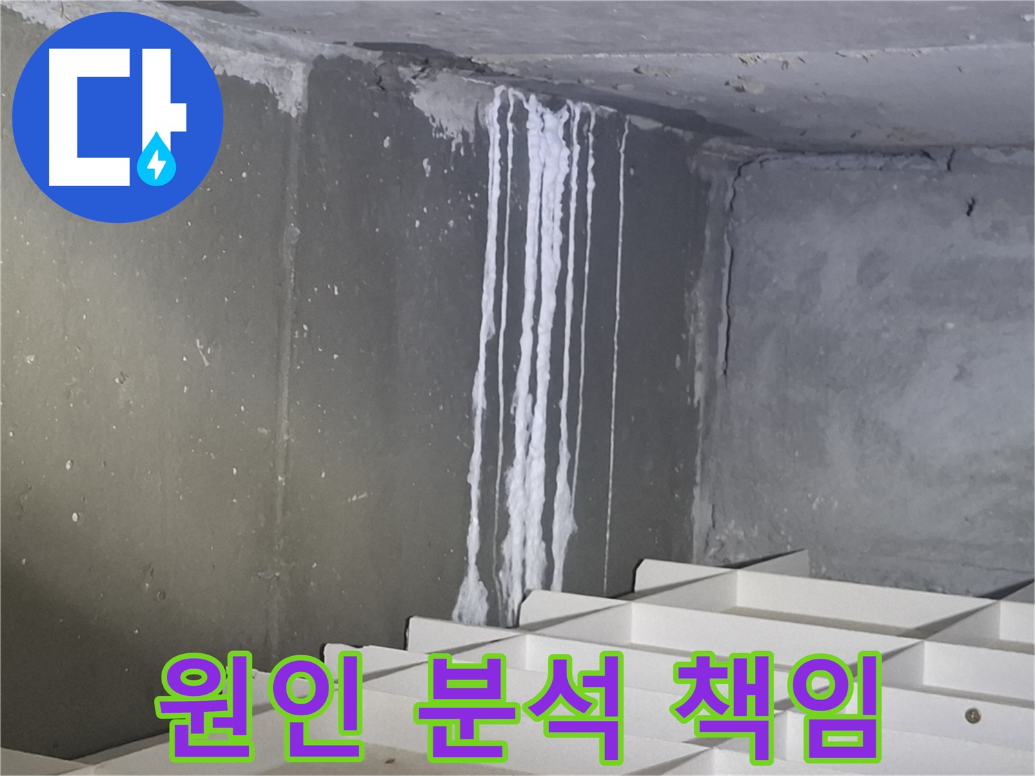 봇들마을2단지 아파트 - 지하 누수, 원인 분석부터 완벽 해결까지 책임!