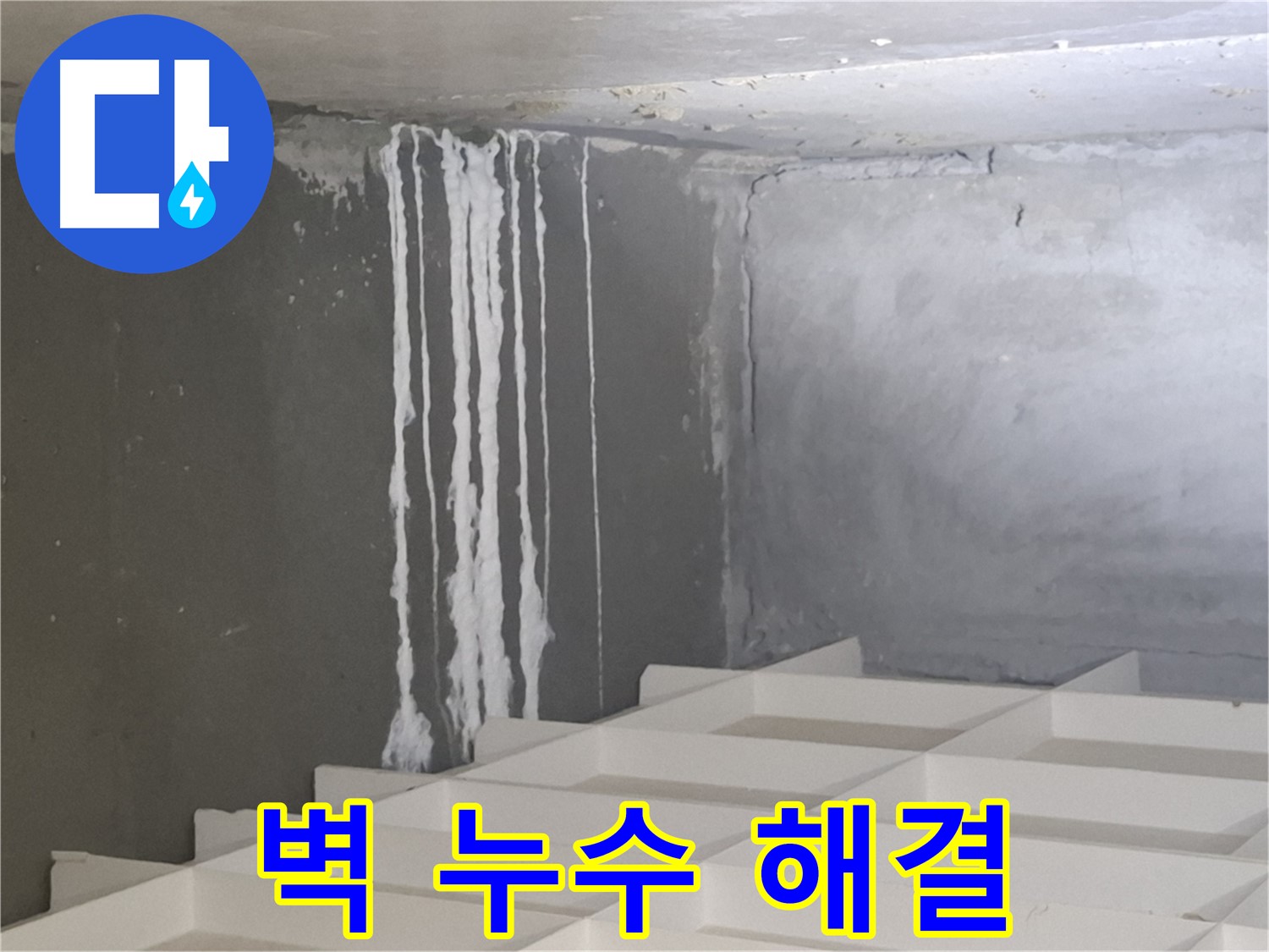 분당 누수 베테랑의 삼평동 아파트 누수 해결 - 벽 누수, 하얀 종유석 원인 완벽 분석