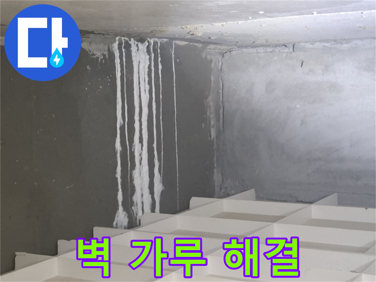 분당 누수 - 삼평동 아파트 벽에 맺힌 하얀 가루 문제, 진단부터 시공까지 원스톱 솔루션 제공