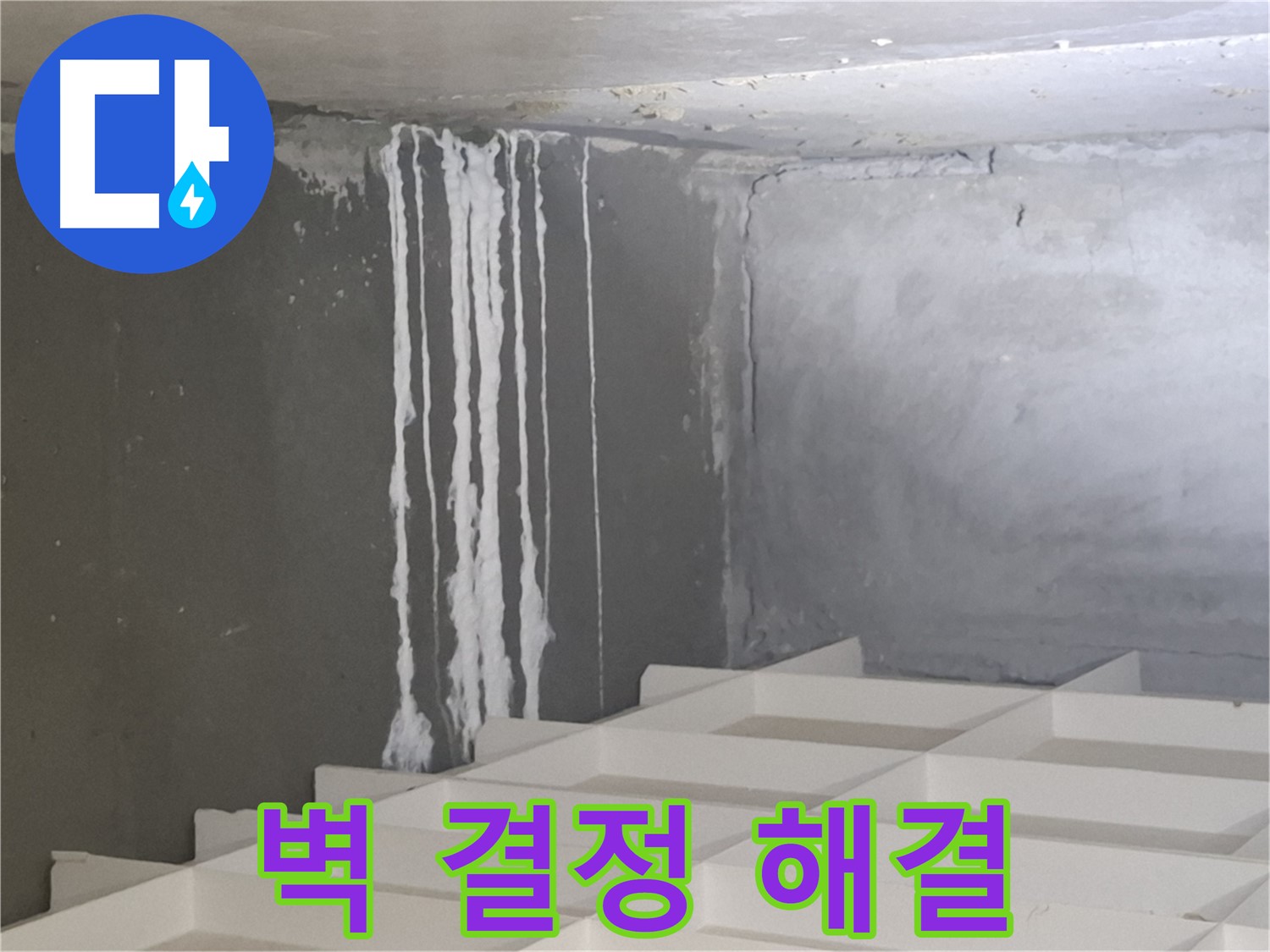 분당 누수 - 삼평동 아파트 벽에 맺힌 하얀 결정 문제, 진단부터 시공까지 원스톱 솔루션 제공