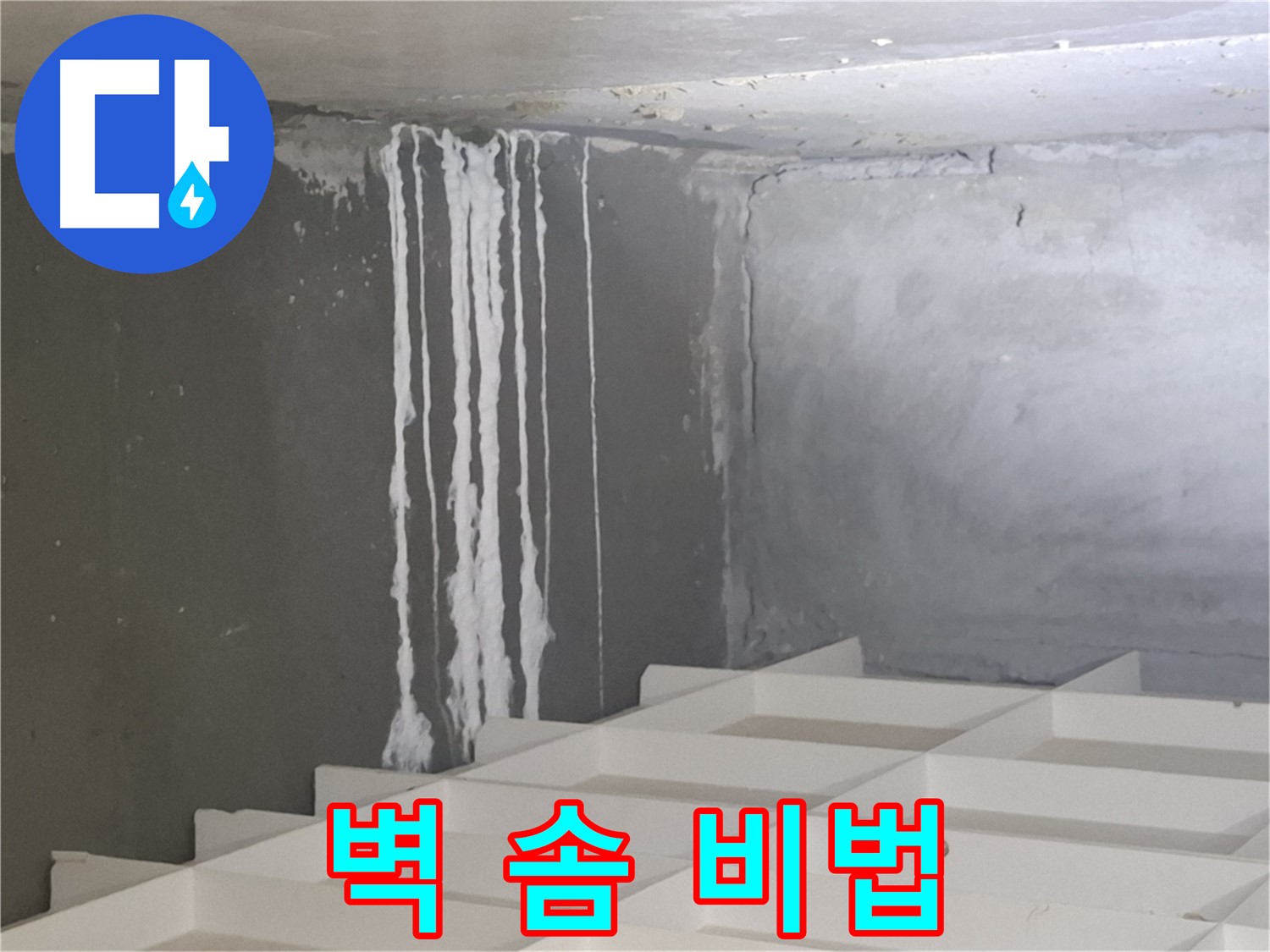 분당 누수 - 삼평동 아파트 벽에 맺힌 하얀 솜을 완벽하게 해결하는 전문 업체의 특별한 노하우