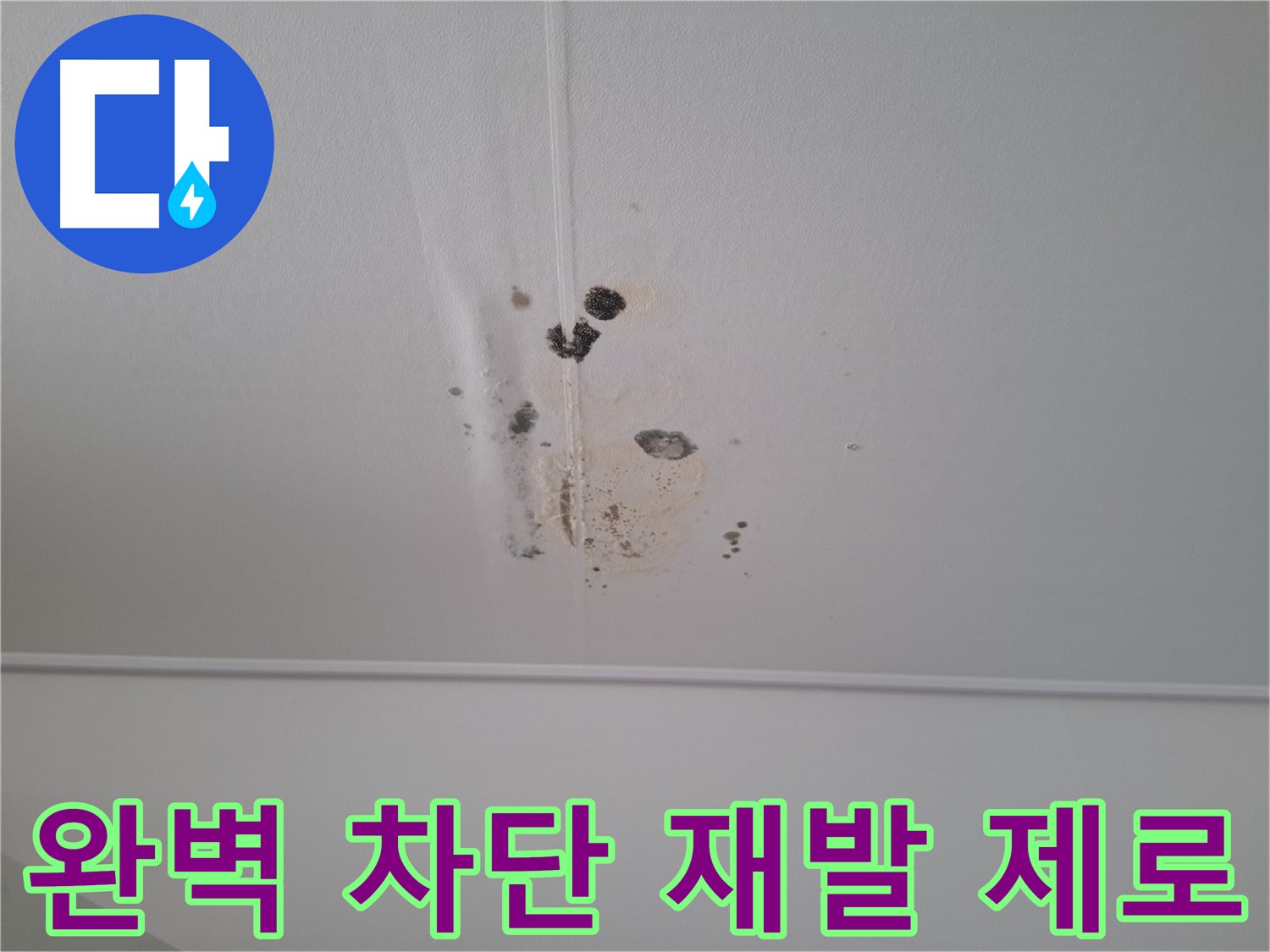 분당 봇들마을 2단지 아파트 - 누수를 완벽하게 차단하고 누수 재발 제로를 약속드립니다 - 안심하세요.