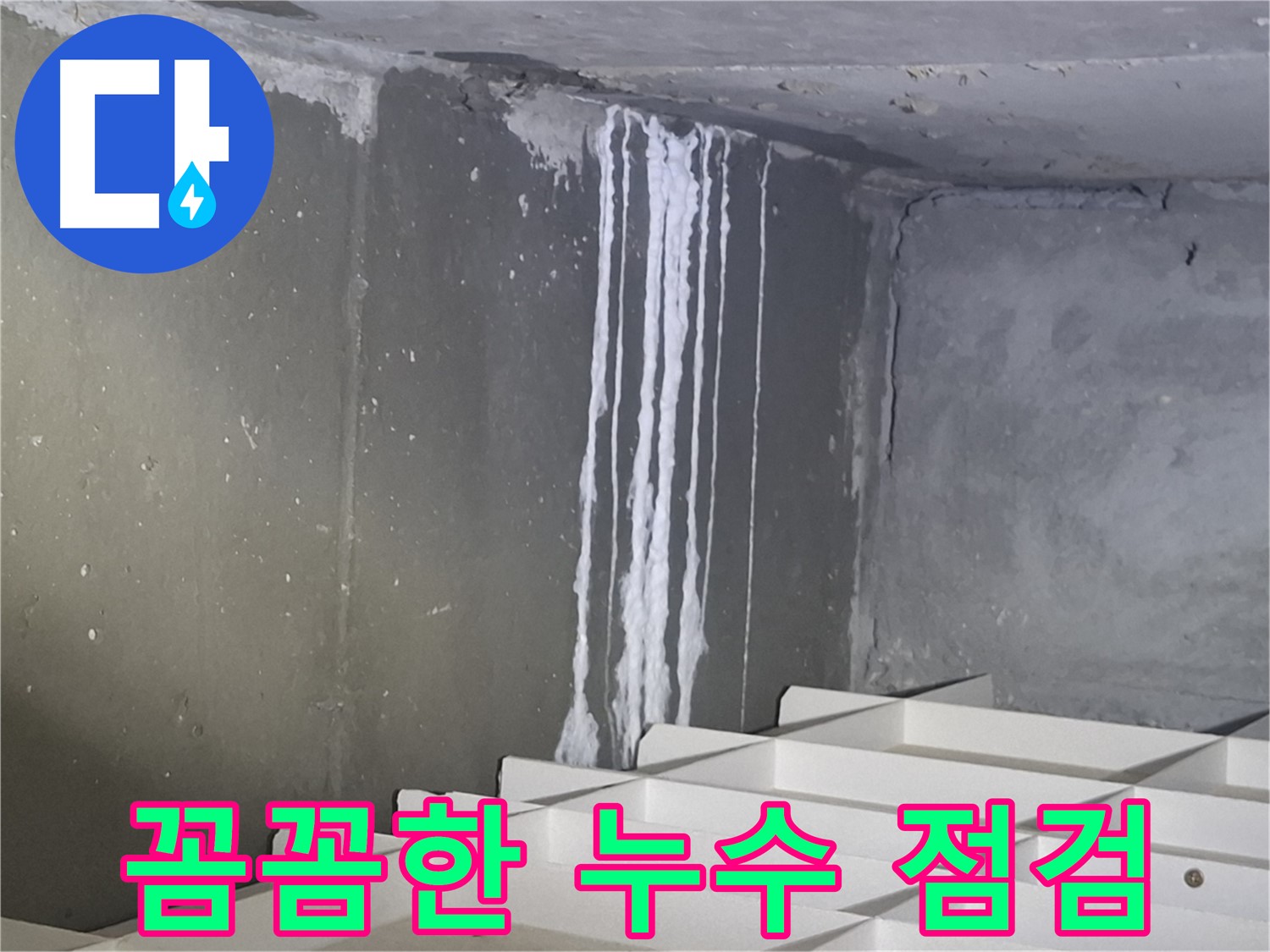 분당 봇들마을 아파트 주차장 누수 - 꼼꼼한 점검으로 문제 해결