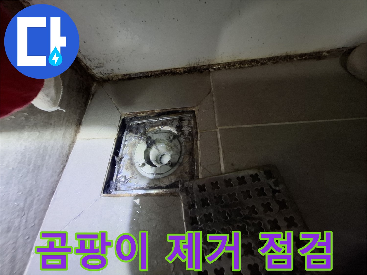 분당 봇들마을 욕실 - 곰팡이 제거 및 누수 점검 서비스 제공