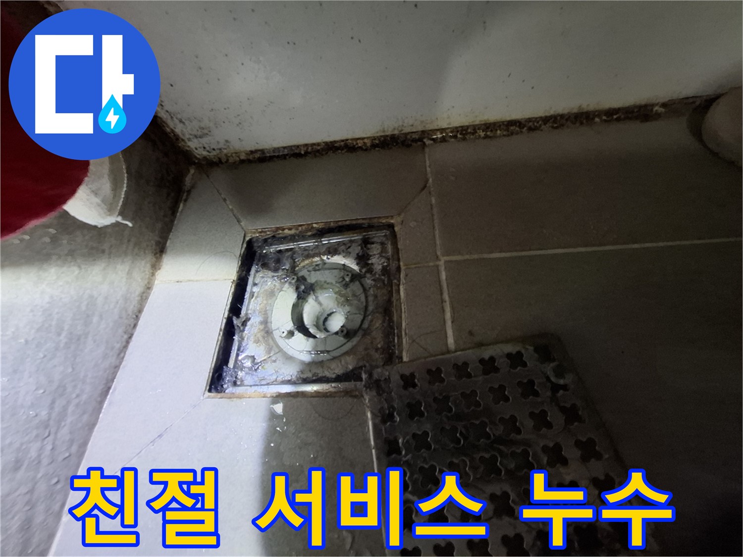 분당 봇들마을 욕실 배수구 누수 - 친절하고 꼼꼼한 서비스 제공