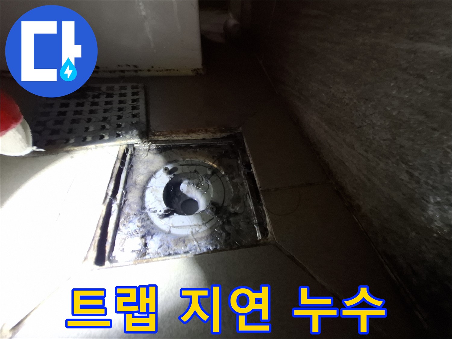 분당 봇들마을 욕실 트랩 불량 - 누수 가능성 점검, 배수 지연과 함께 확인