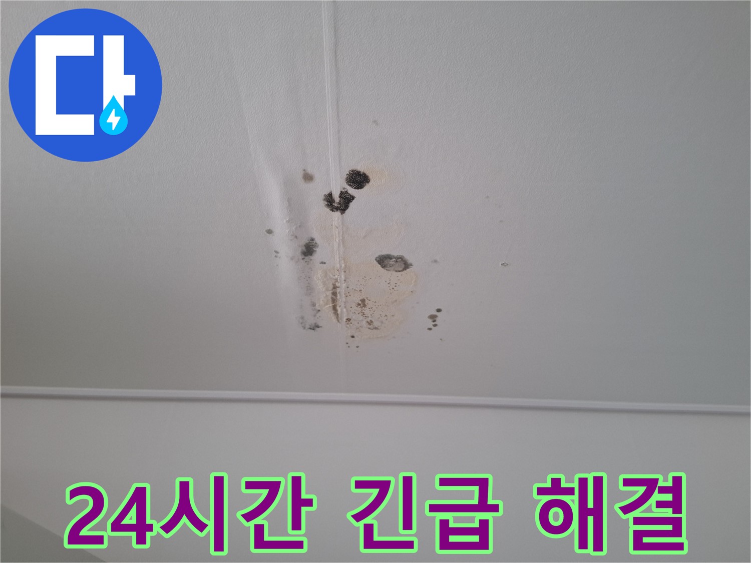 분당 봇들마을2단지 아파트 - 24시간 긴급 방문 서비스를 제공하여 누수 문제를 신속하게 해결해 드립니다.