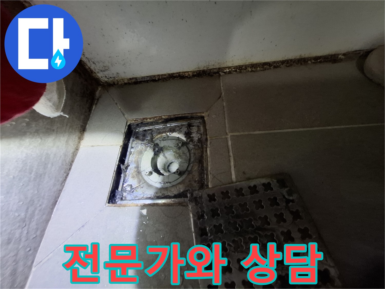 분당 봇들마을2단지 욕실 - 곰팡이 - 누수 초기 증상 - 전문가 상담