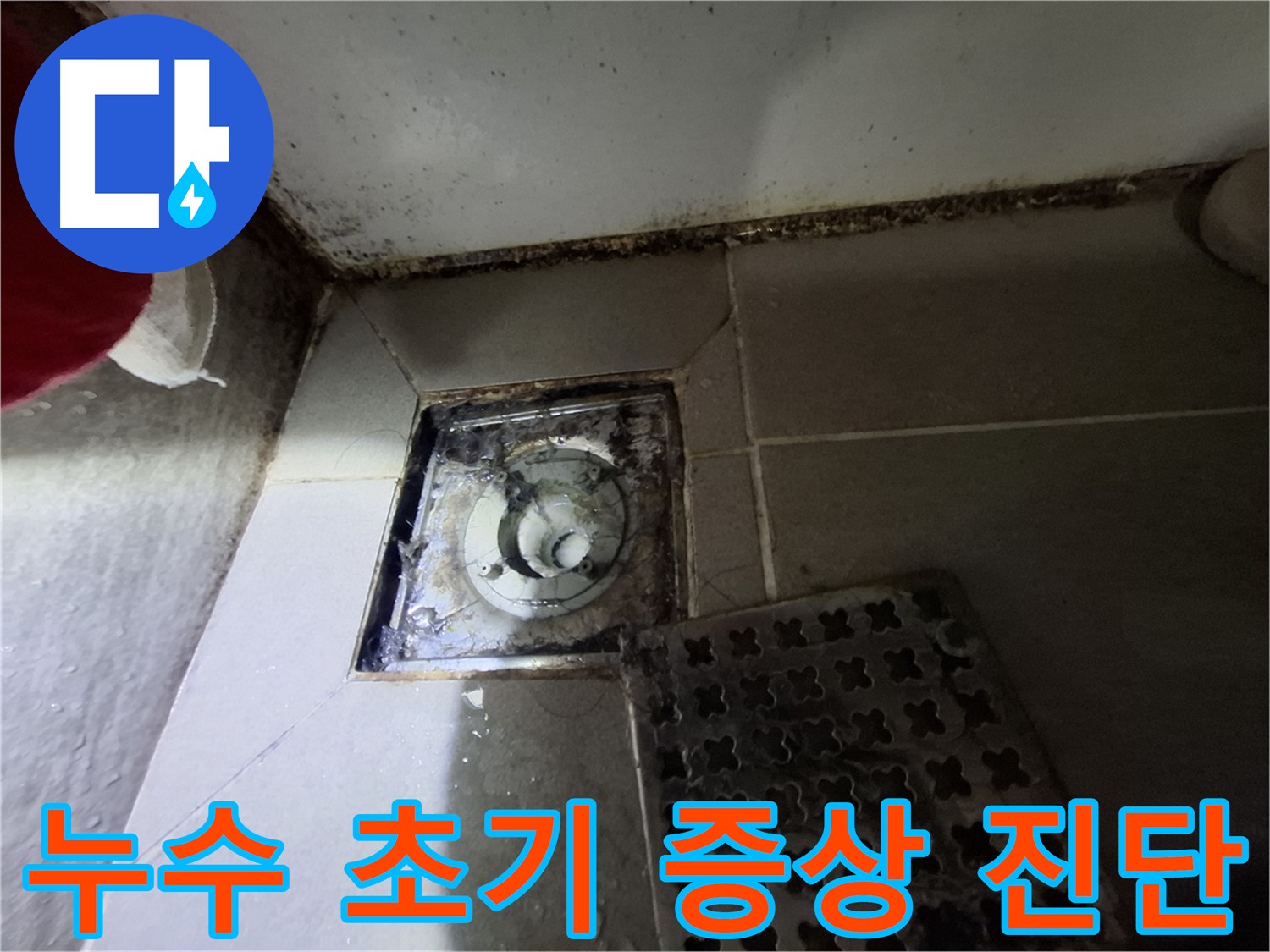 분당 봇들마을2단지 욕실 - 배수구 주변 곰팡이, 누수 초기 증상 의심