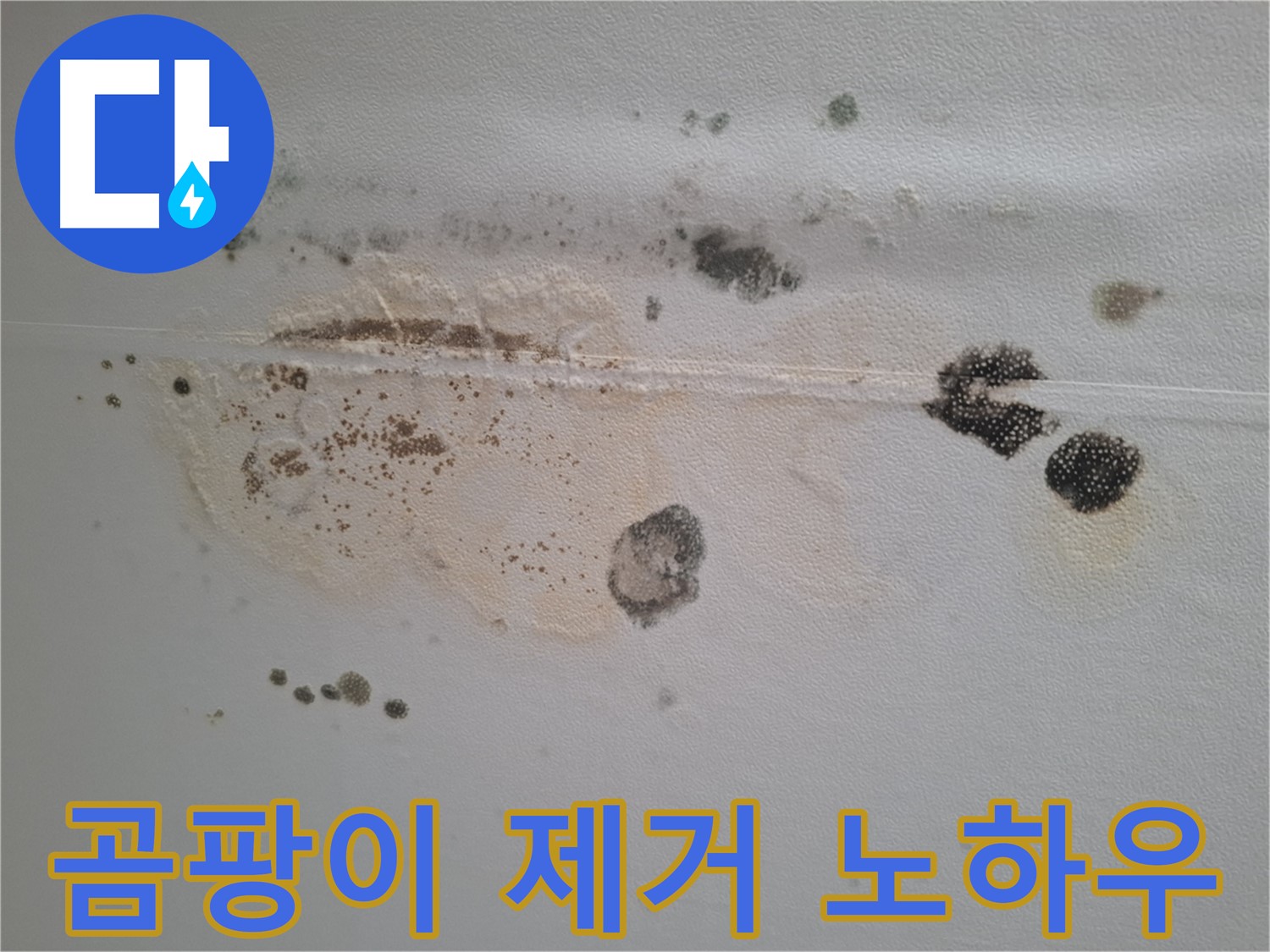 분당 삼평동 누수 - 봇들마을 이지더원 천장 곰팡이 제거 전문 노하우 공개