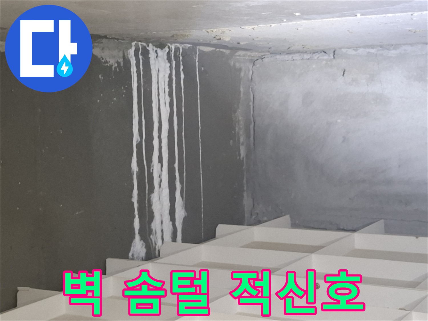 분당 삼평동 누수 - 콘크리트 벽에 생긴 솜털은 건물 건강의 적신호! 빠른 해결만이 답입니다