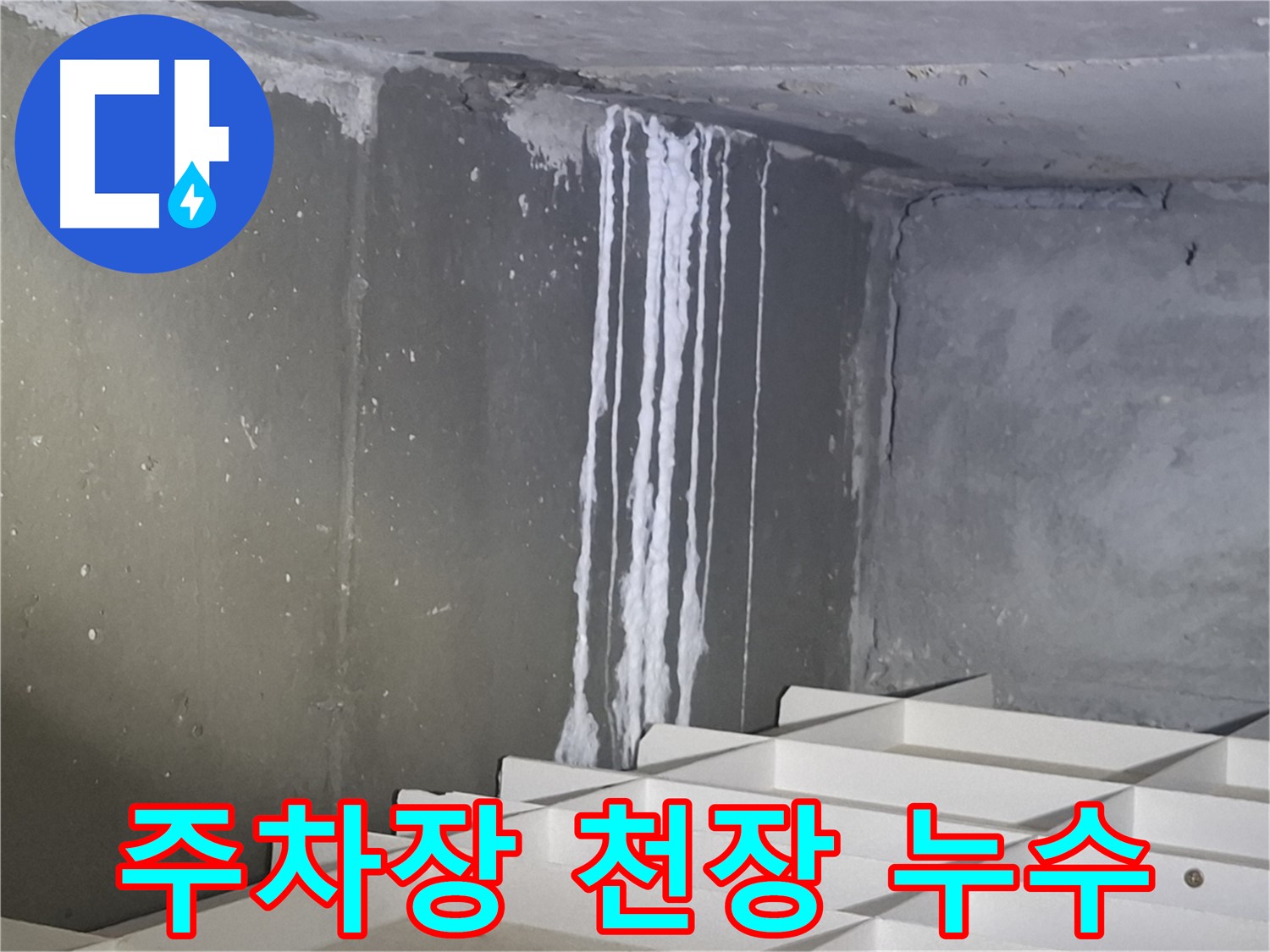 분당 삼평동 봇들마을2단지 아파트 누수 - 주차장 천장에서 발생하는 석회 누수 긴급 점검