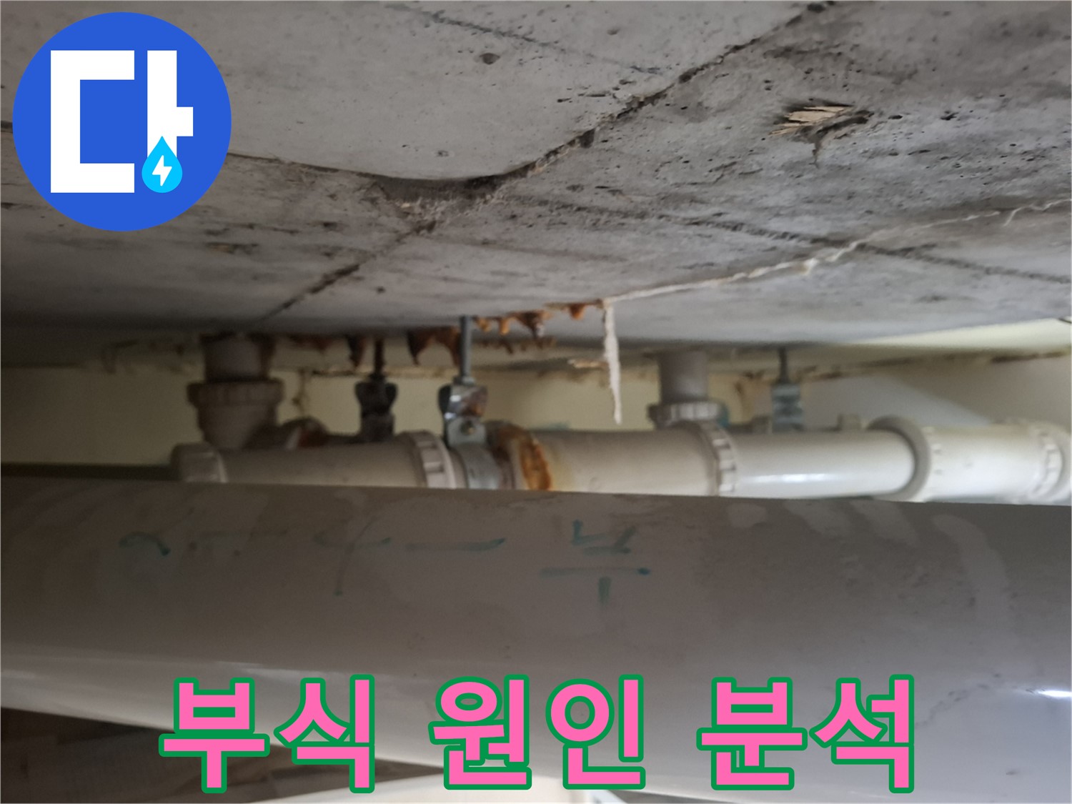 분당 삼평동 봇들마을2단지 아파트 - 천장 배관 부식 원인 심층 분석 및 해결