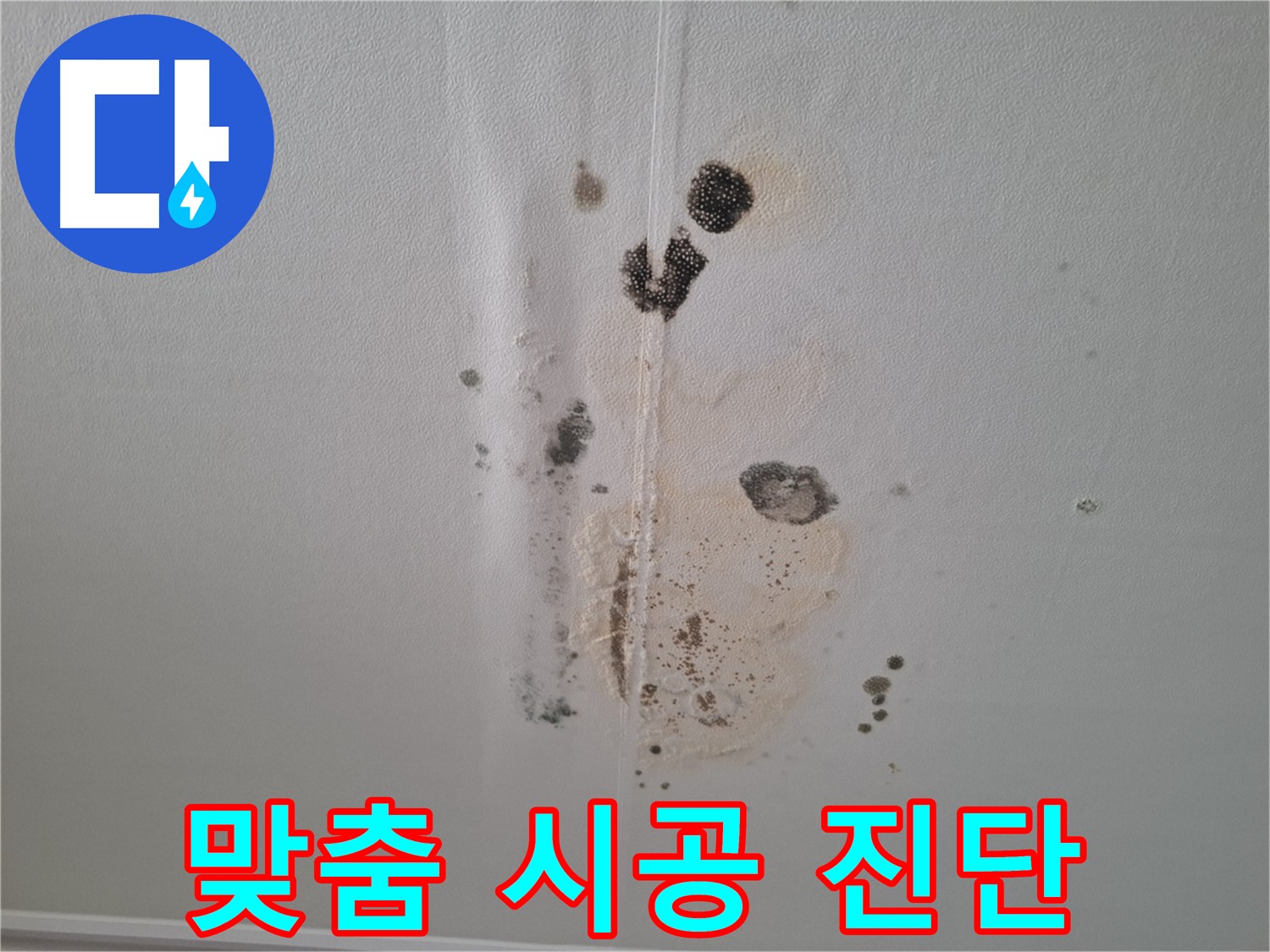 분당 삼평동 아파트 누수 - 곰팡이 문제 완벽한 진단과 맞춤 시공