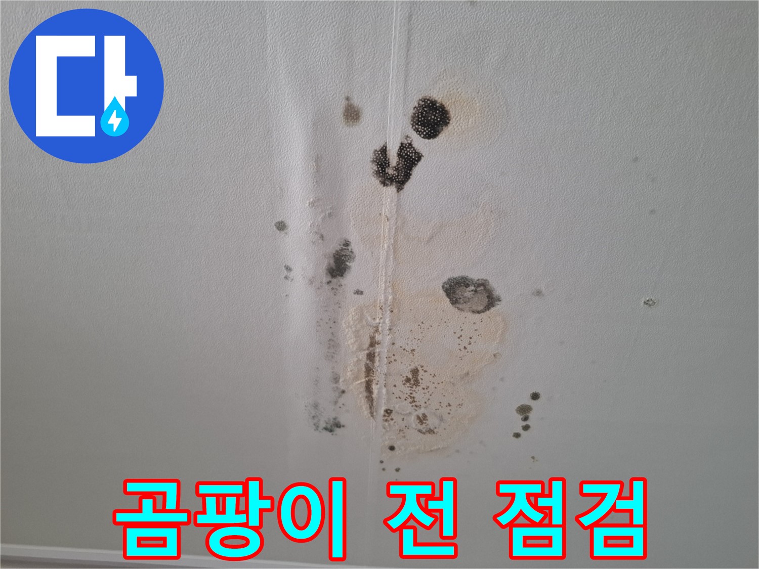 분당 삼평동 아파트 누수 - 곰팡이 발생 전 천장 얼룩 긴급 점검